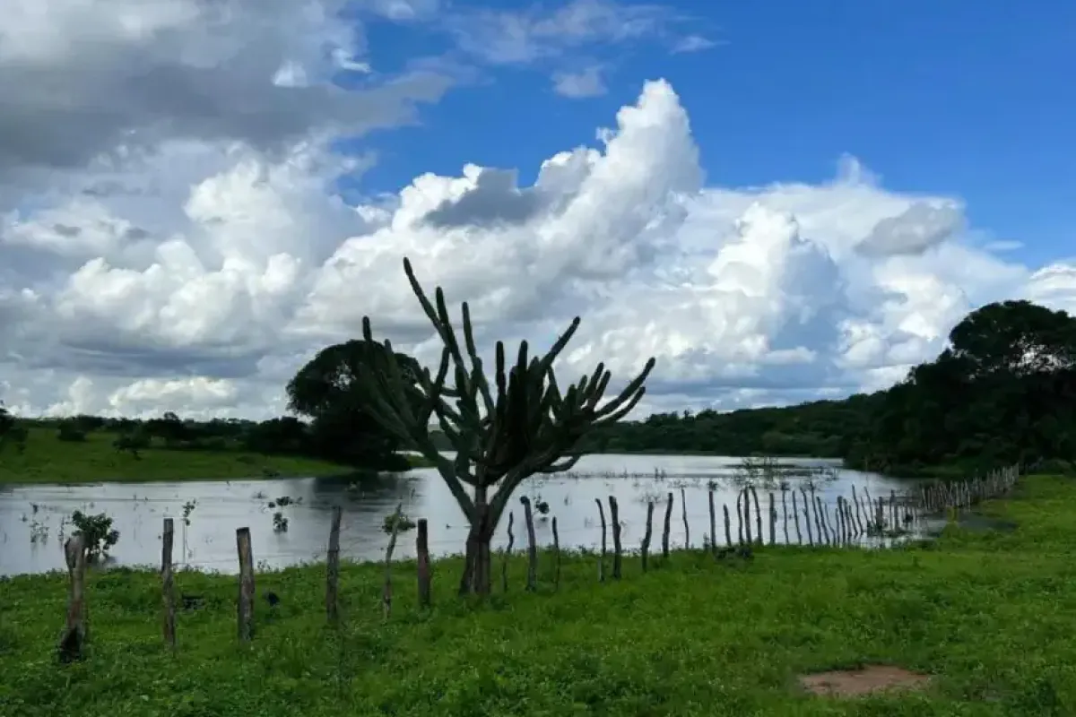 pb-pedra-lavrada-centro-praca-eugenio-vasconcelos-fazenda-a-venda-6987d089-00