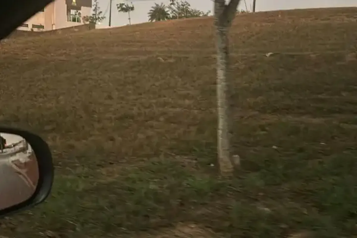 pe-jaboatao-dos-guararapes-manassu-rodovia-br-232-terreno-em-condominio-fechado-a-venda-67f4373f-00