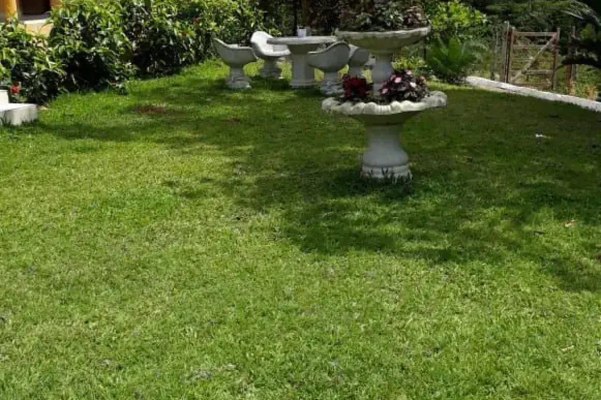 pe-sao-lourenco-da-mata-muribara-rua-sao-paulo-fazenda-a-venda-668eb21f-00