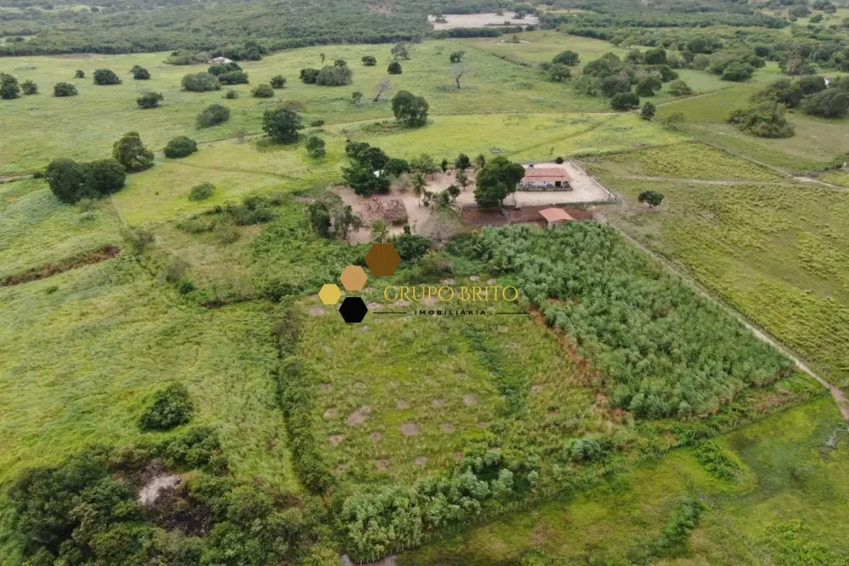 Fazenda 4 Salas Zona Rural à Venda - Foto 1
