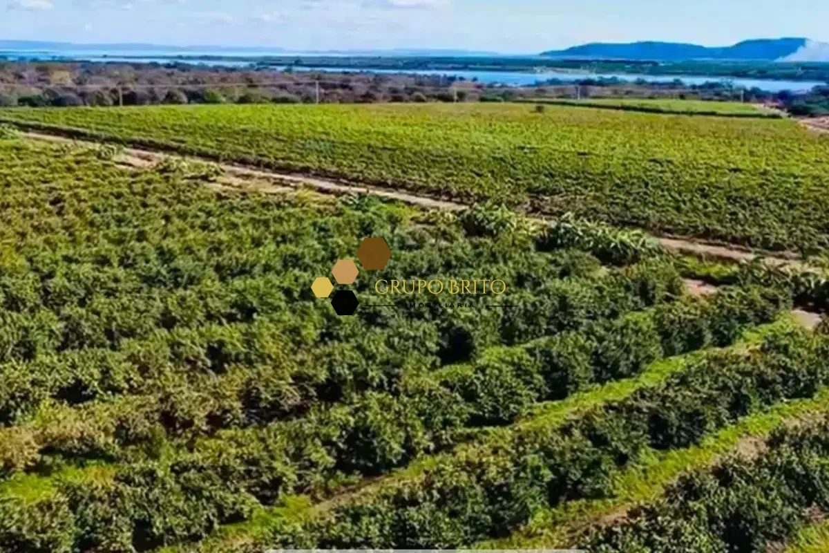 Fazenda Centro à Venda - Foto 2