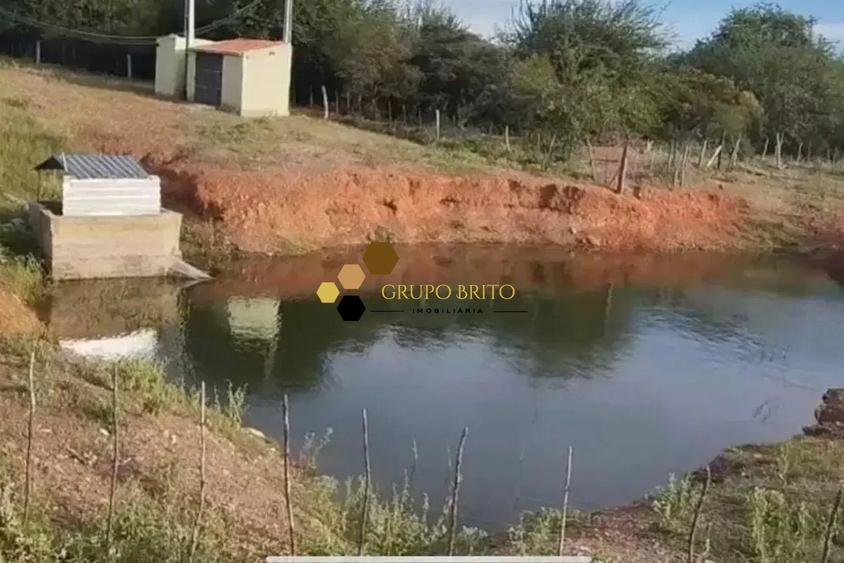 Fazenda Centro à Venda - Foto 4