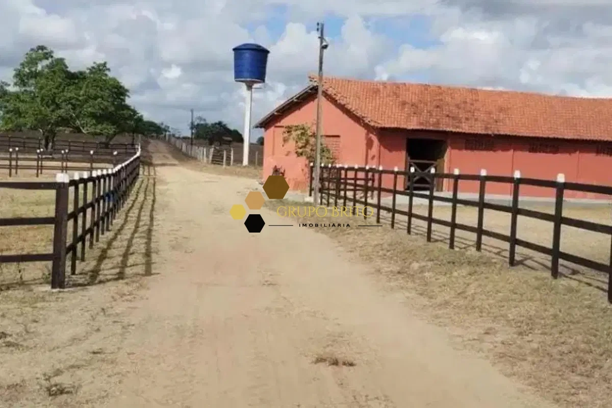 Fazenda 4 Salas Zona Rural à Venda - Foto 1