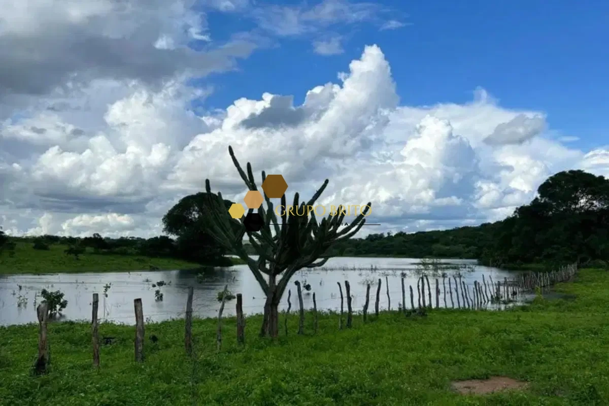 Fazenda Centro à Venda - Foto 1