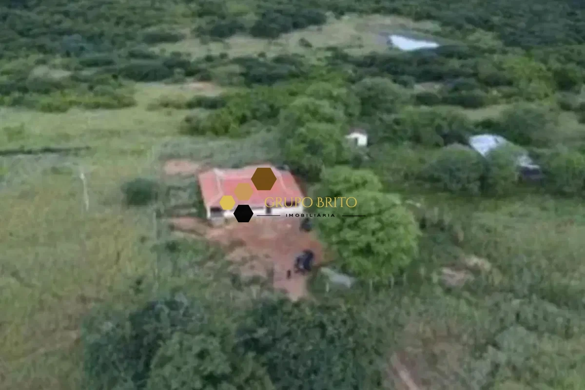 Fazenda 3 Salas Zona Rural à Venda - Foto 1