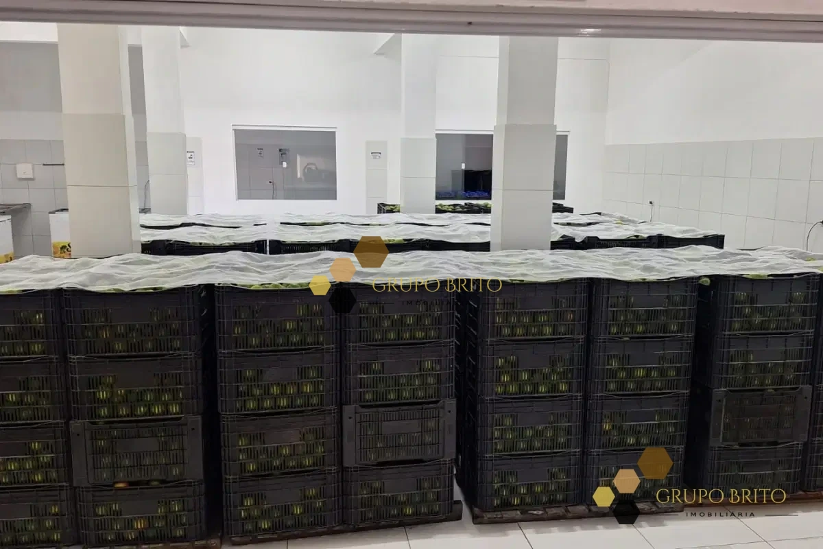 Prédio 6 Salas Porto de Galinhas à Venda - Foto 9